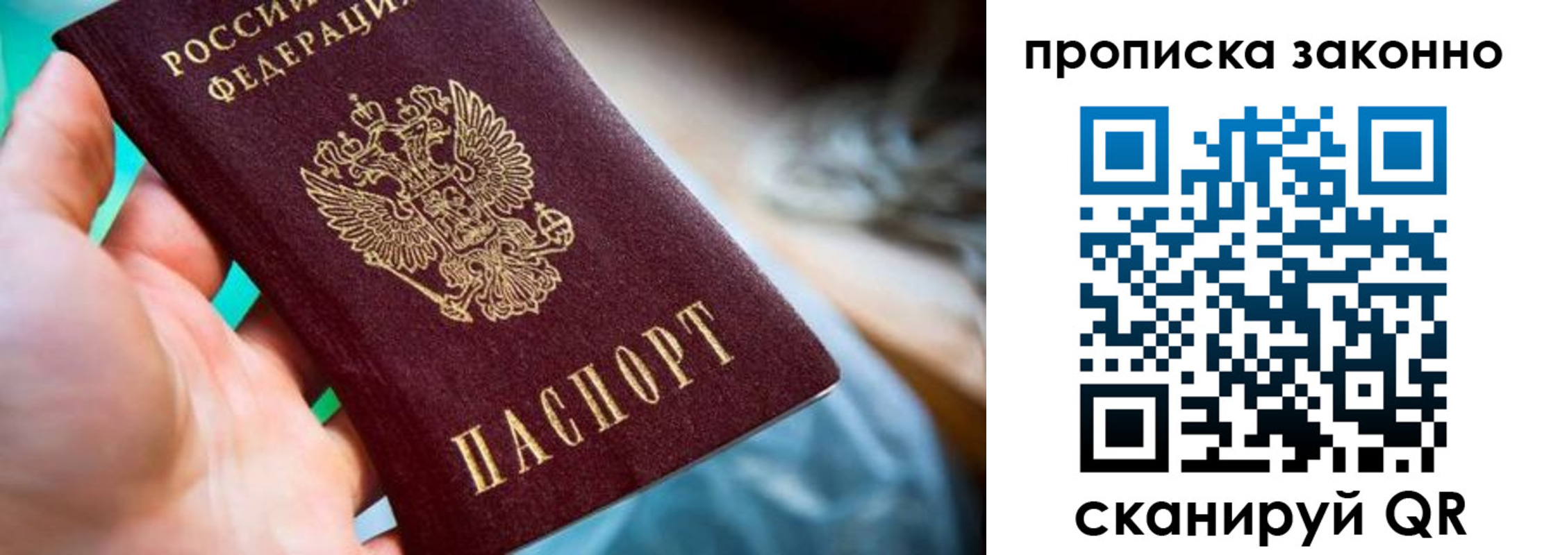временная регистрация надежно в Елизово